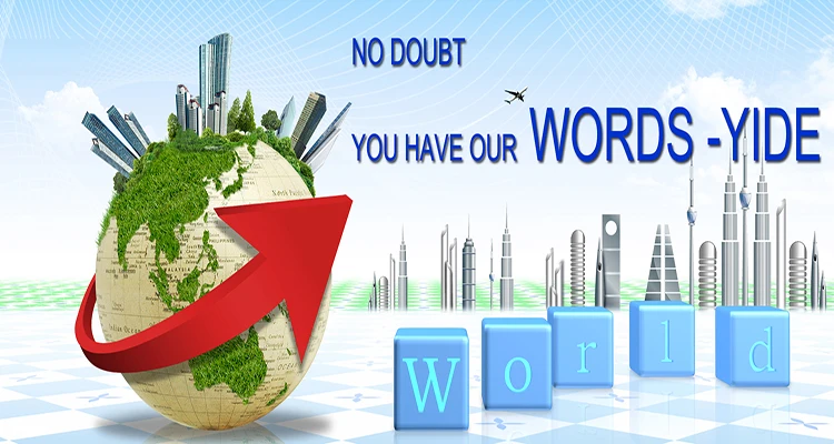 With Best Quality and Low Price Factory Ecc Citycoco Electric Snow Scooter