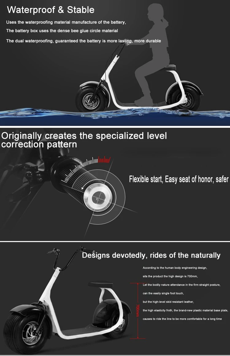 With Best Quality and Low Price Factory Ecc Citycoco Electric Snow Scooter