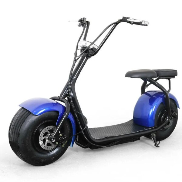 With Best Quality and Low Price Factory Ecc Citycoco Electric Snow Scooter