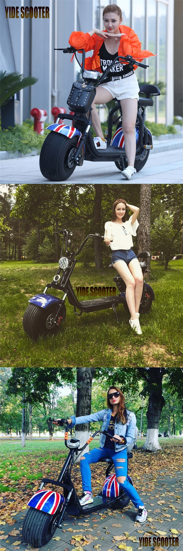 With Best Quality and Low Price Factory Ecc Citycoco Electric Snow Scooter