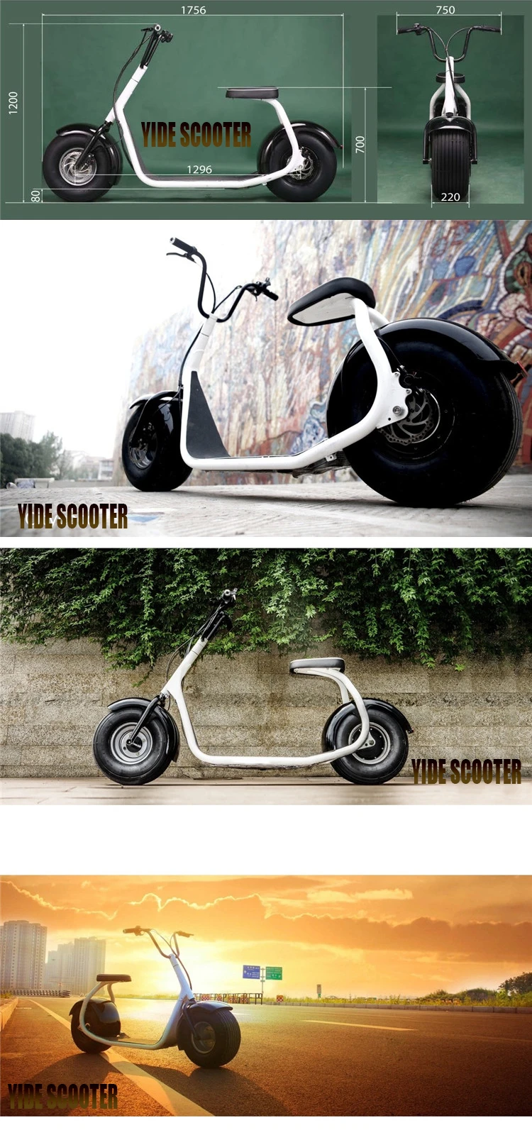 With Best Quality and Low Price Factory Ecc Citycoco Electric Snow Scooter