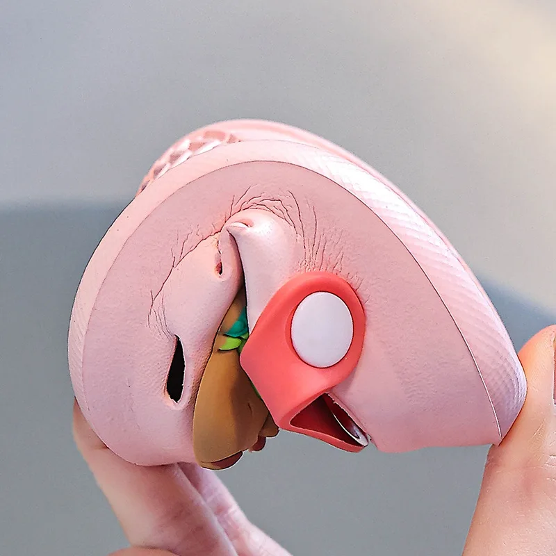 Cute Capybara Summer Kids' Garden Clogs Shoes Boys & Girls Beach Sandal Kids Lightweight Breathable Slip On Baby Slippers - Image 5